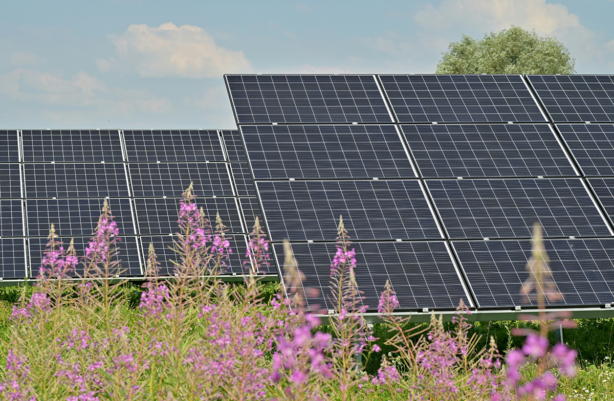 irima solar ofrece la instalacion de placas solares en san carlos de la rapita